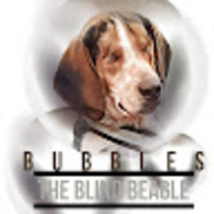 Meet your Posher, Stacie